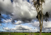 黑白体育：[冰雪]全国残特奥会单板滑雪项目开赛.