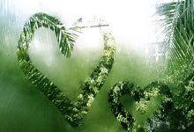 CBA季后赛排名最详细分析！5支球队争夺前四；辽鲁京有机会冲第三.