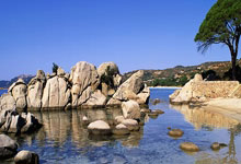 黑白体育：[德甲]帕夫洛维奇外围世界波 拜仁扳平比分.